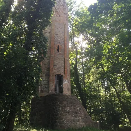 Lejlighed Altstadt-apartment Kirchblick *